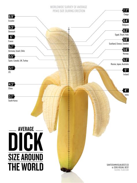 long cock pics|Category : Human penis size